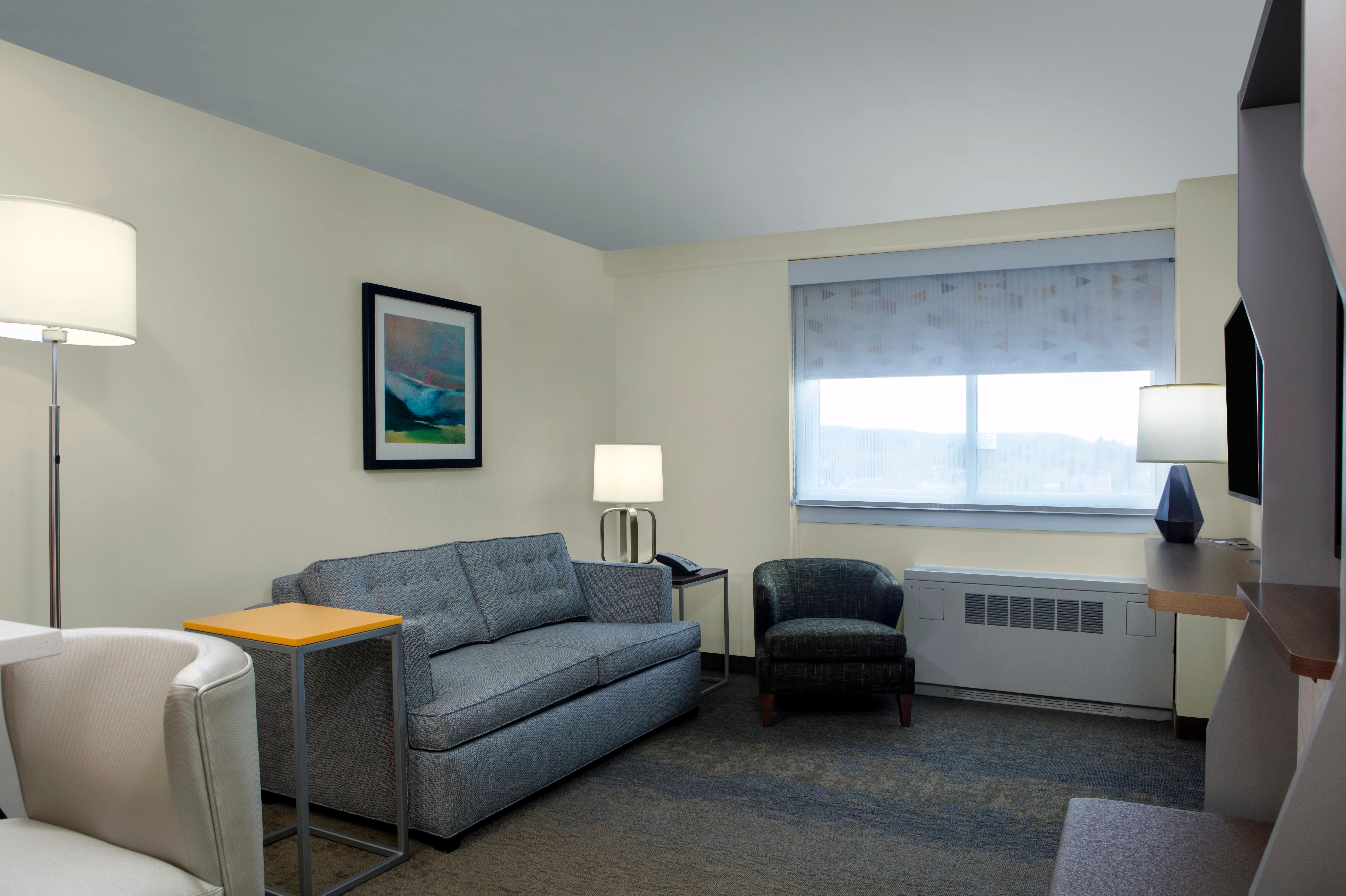 Holiday Inn Binghamton-Downtown Hawley Street By Ihg Экстерьер фото
